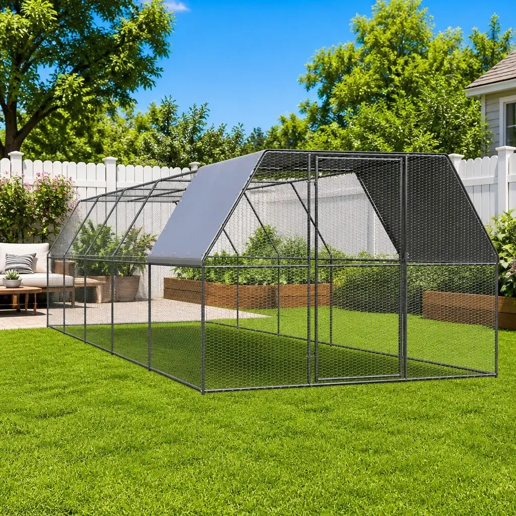Chicken Cage for Outdoor Use