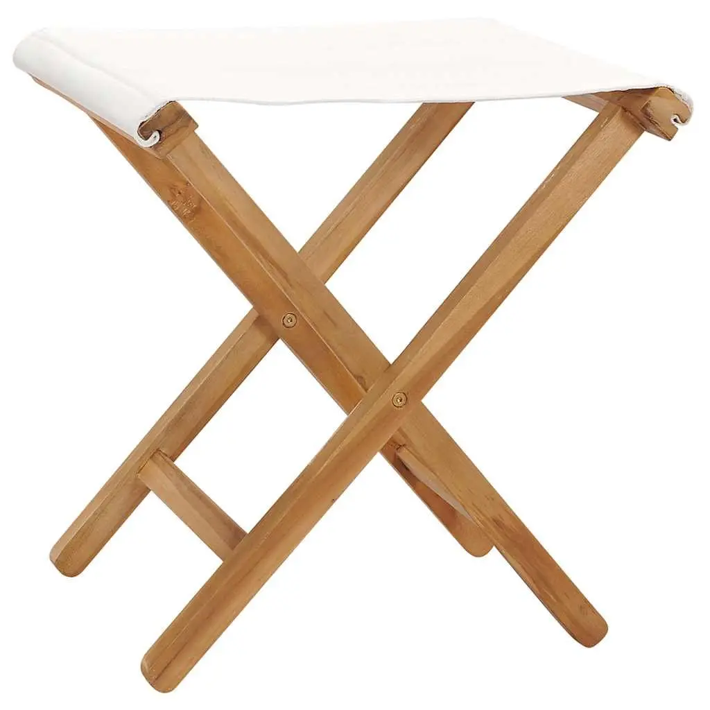 Folding Chairs Set of 2