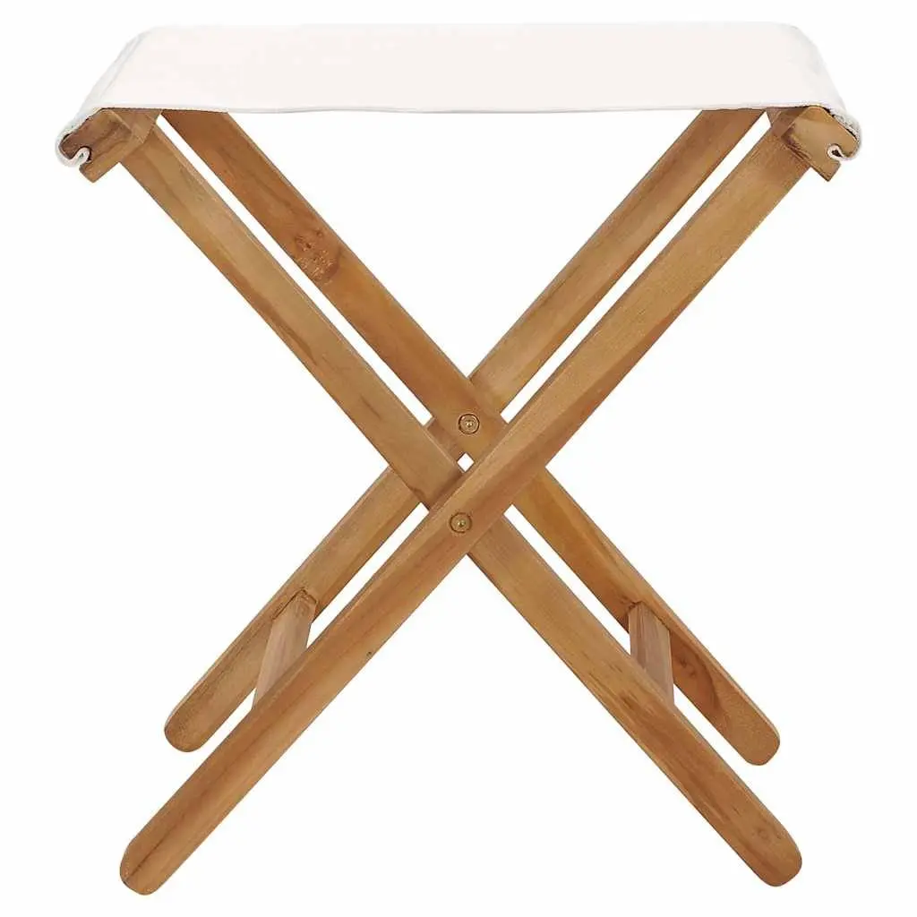 Folding Chairs Set of 2