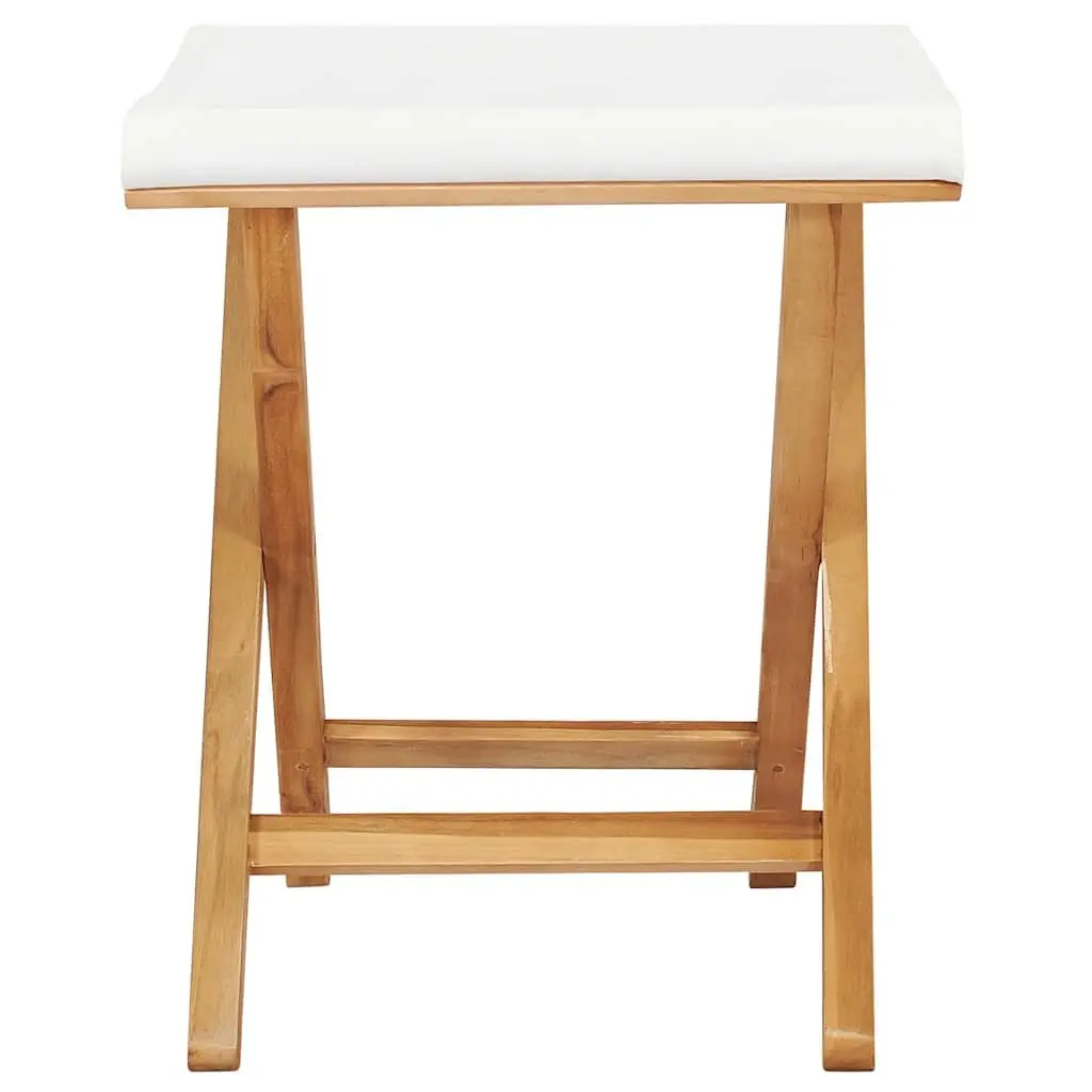 Folding Chairs Set of 2