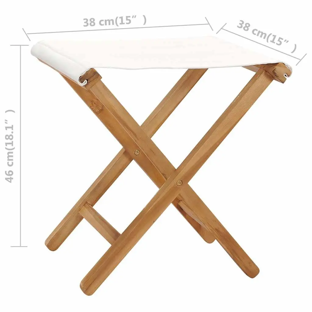 Folding Chairs Set of 2