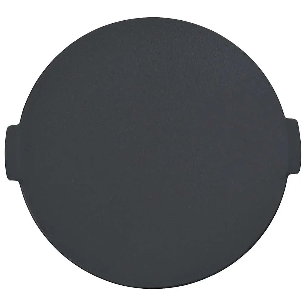 Outdoor Cooking Cast Iron Grill Plate Black 44cm Frying Surface