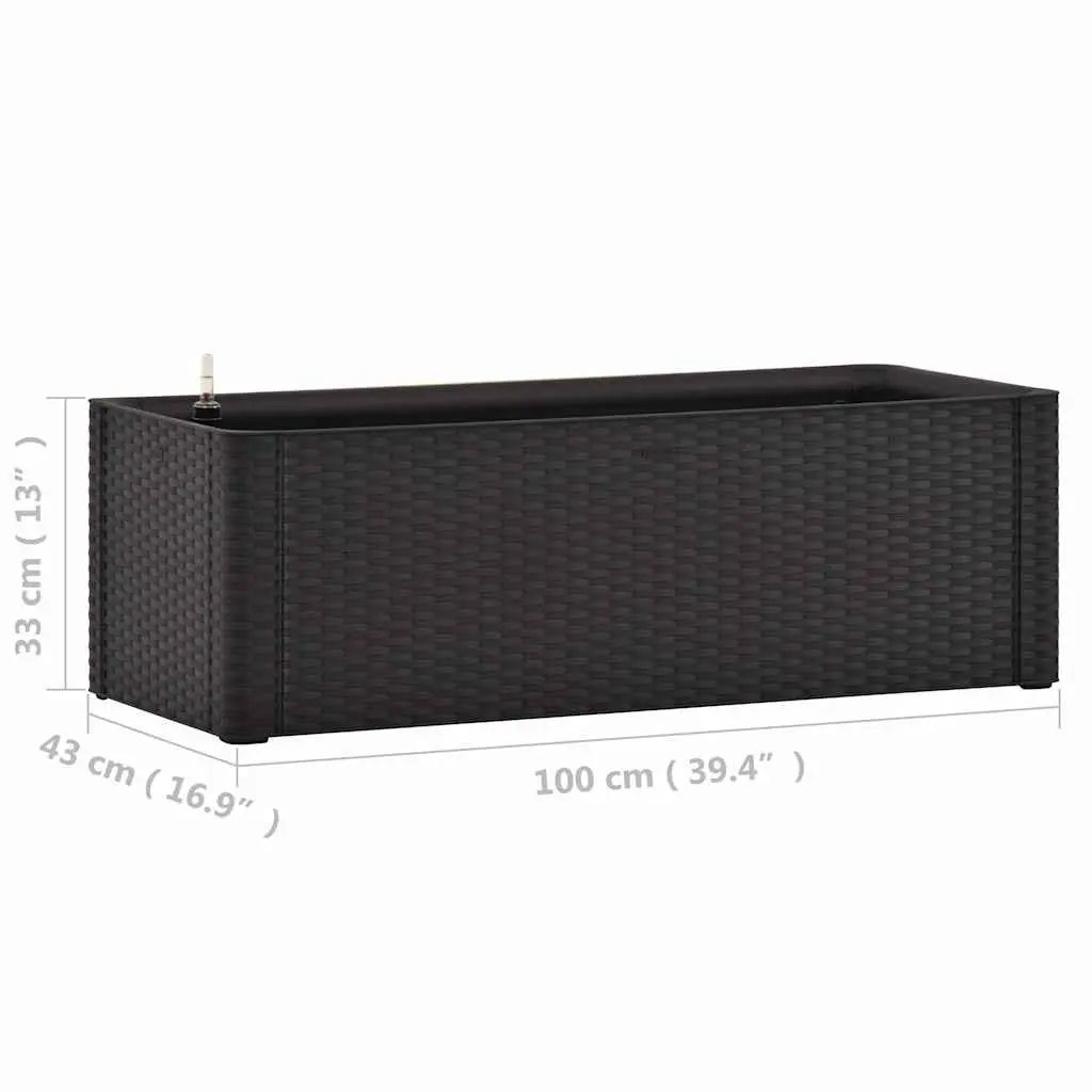 Raised Garden Bed Self Watering System Planter 100 x 43 x 33 cm Anthracite