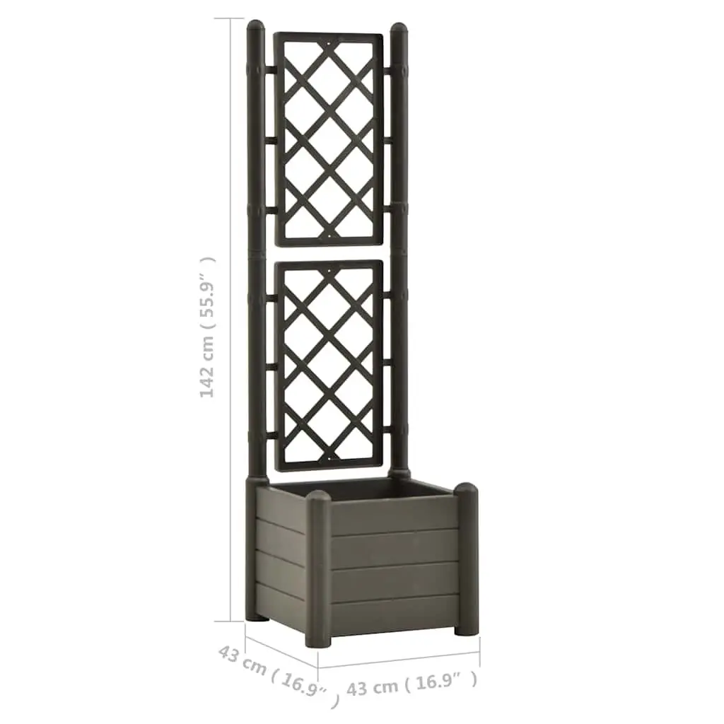 Garden Planter Raised Bed Flower Box with Trellis for Climbing Plants Anthracite 43 x 43 x 142 cm