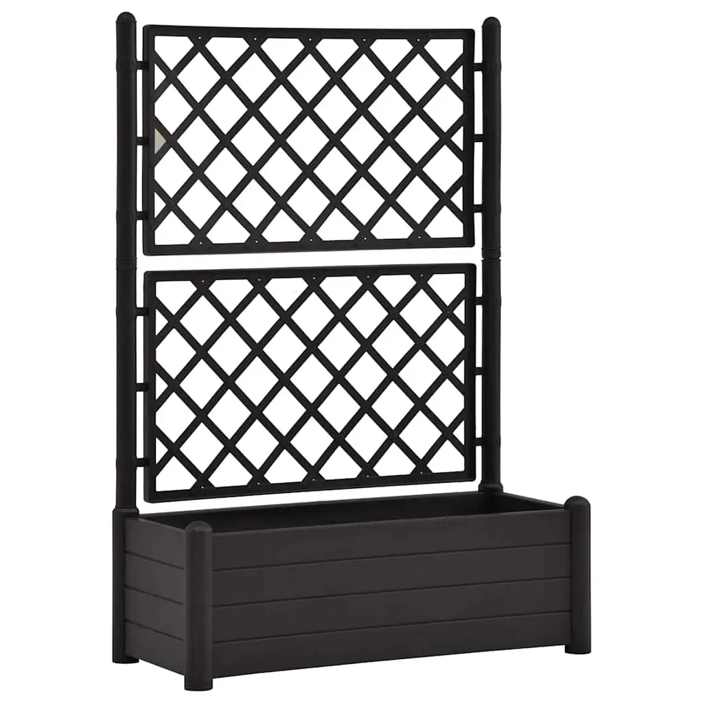 Garden Planter with Trellis Outdoor Climbing Plants 100 x 43 x 142 cm Anthracite