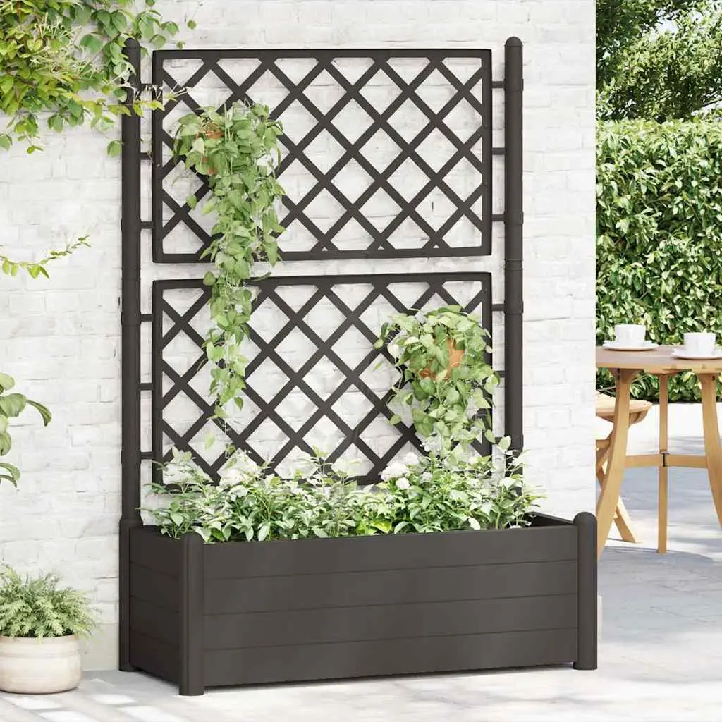 Garden Planter with Trellis Outdoor Climbing Plants 100 x 43 x 142 cm Anthracite