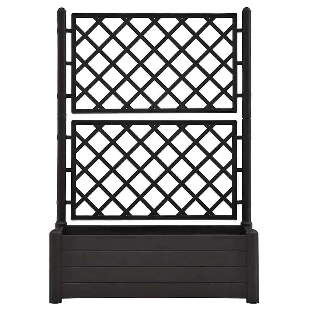 Garden Planter with Trellis Outdoor Climbing Plants 100 x 43 x 142 cm Anthracite
