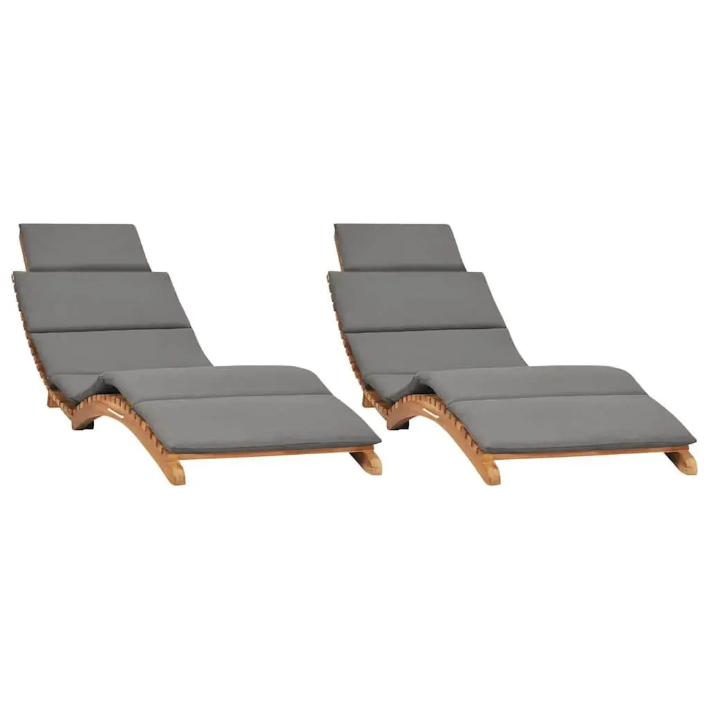 Sun Loungers Ergonomic Adjustable Backrest 2 pcs Grey Folding Garden