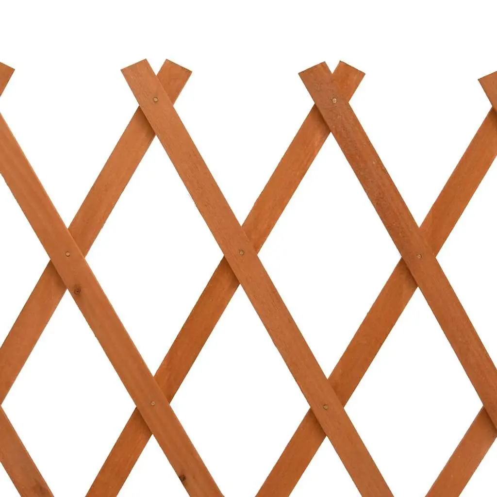 Garden Trellis Fence Panel Expandable Wooden Outdoor Privacy Screen 120x60cm Orange