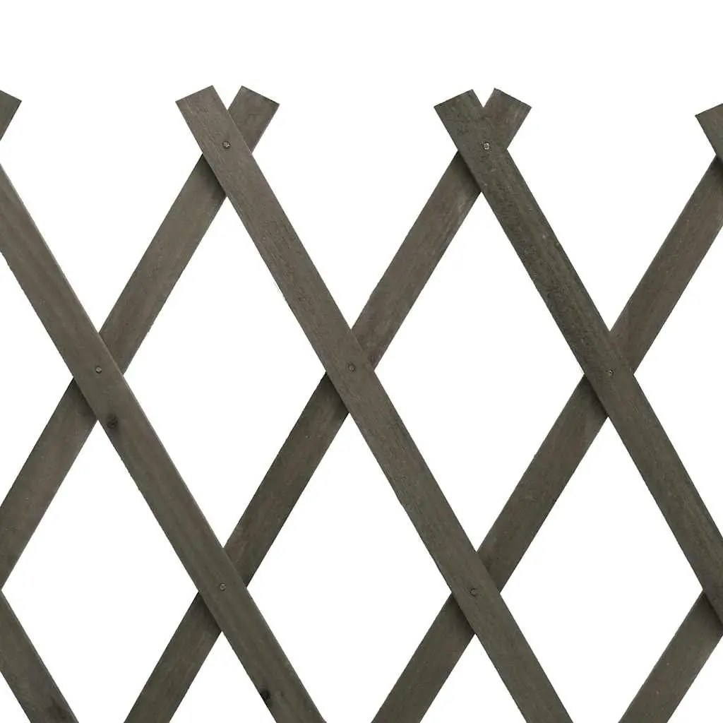 Garden Trellis Fence Panel Expandable Outdoor Privacy Support Climbing Plants 150x80 cm Grey