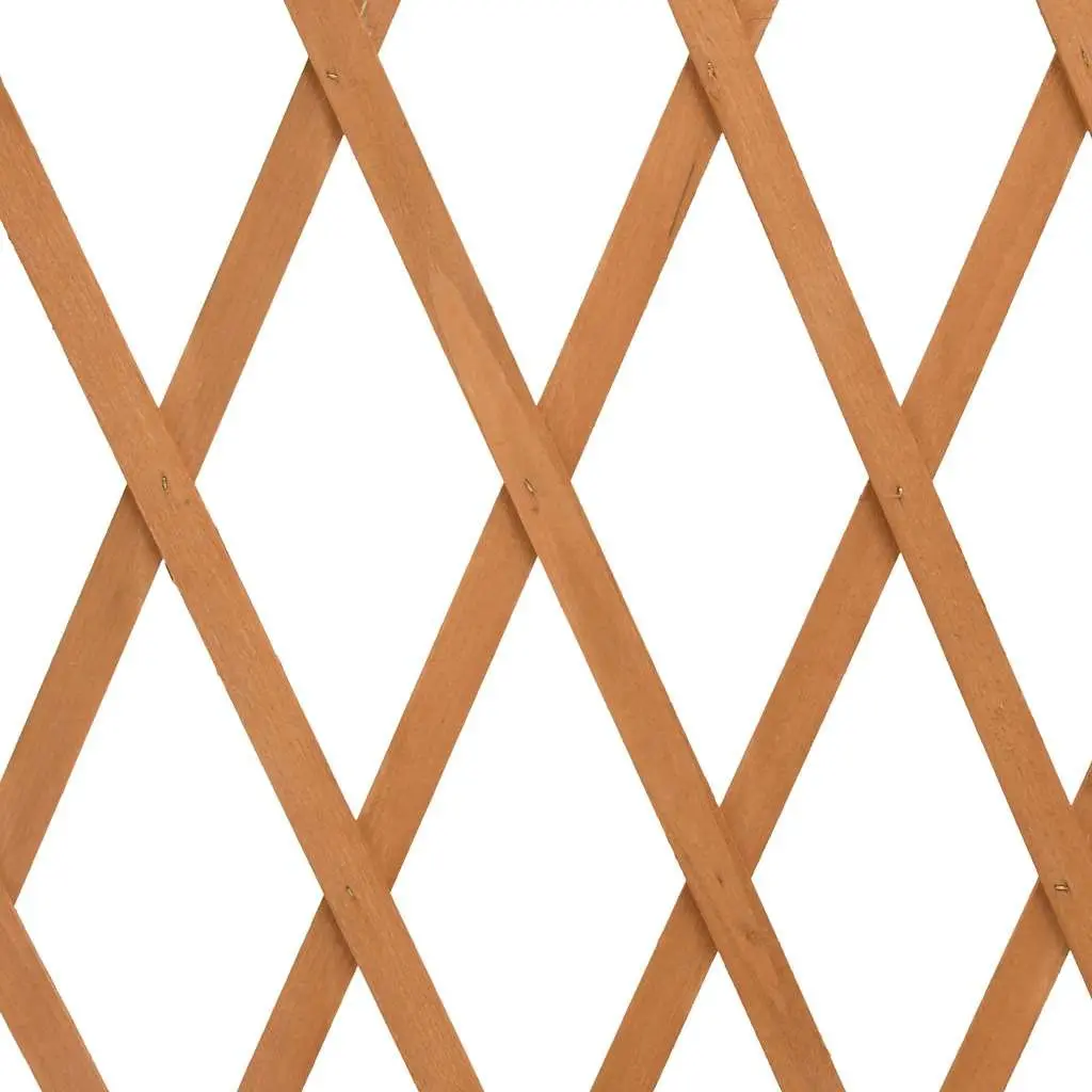 Wooden Garden Trellis Fence Panel Expandable Outdoor Privacy Screen 180cm Orange