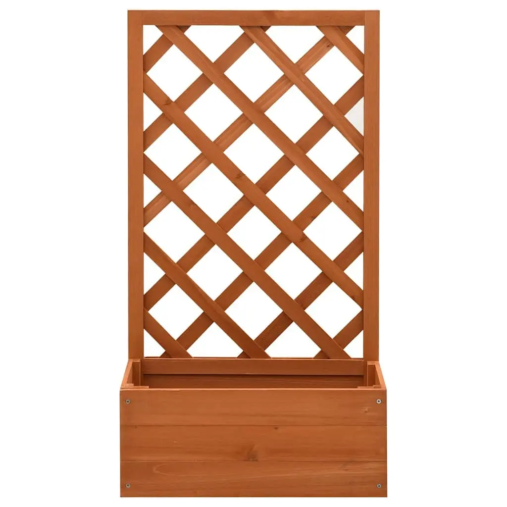 Garden Trellis Planter Climber Support 50x25x90 cm Orange