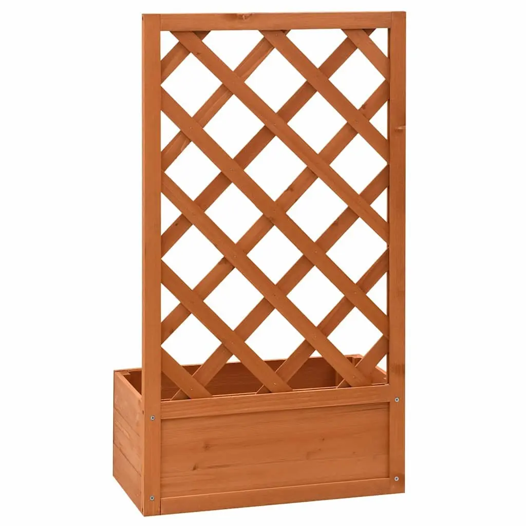 Garden Trellis Planter Climber Support 50x25x90 cm Orange