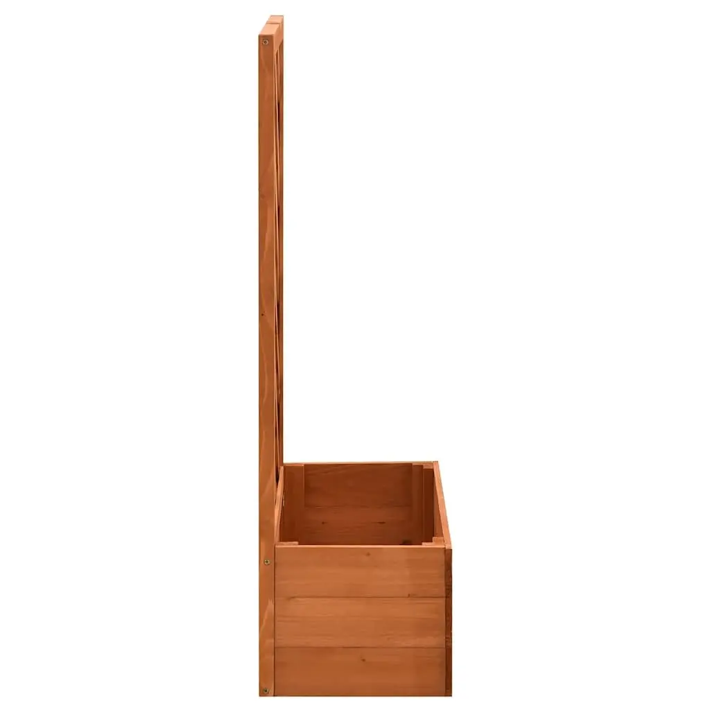 Garden Trellis Planter Climber Support 50x25x90 cm Orange