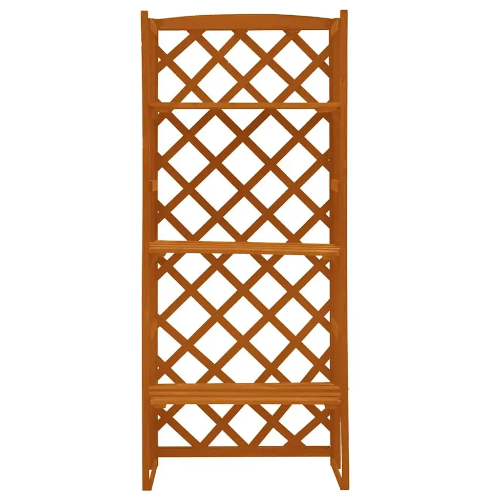 Wooden Plant Stand with Trellis for Potted Plants 60x30x140 cm Orange