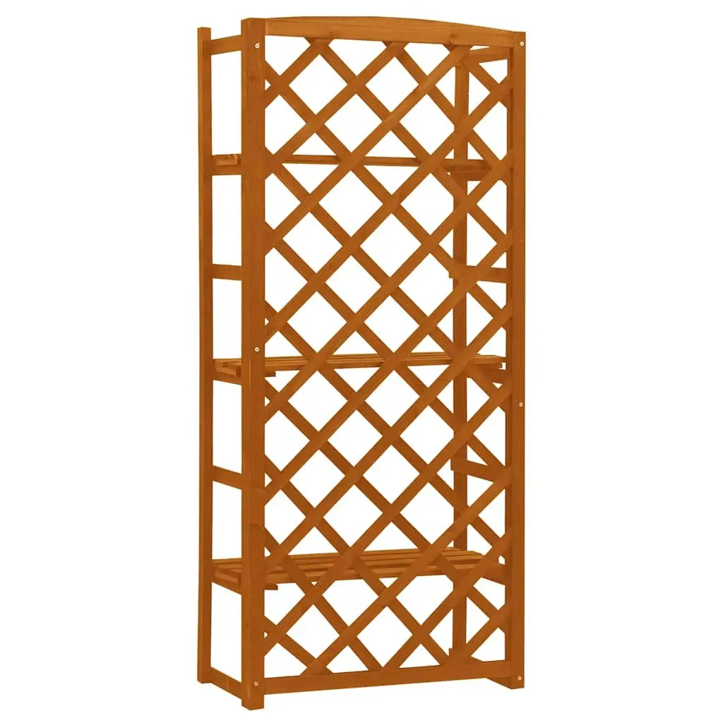 Wooden Plant Stand with Trellis for Potted Plants 60x30x140 cm Orange