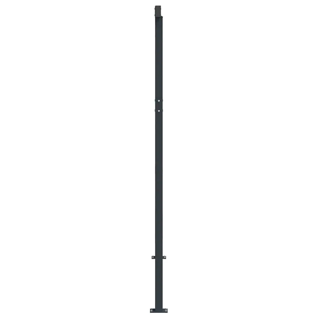 Awning Post Set Outdoor Shade 300x245 cm Anthracite