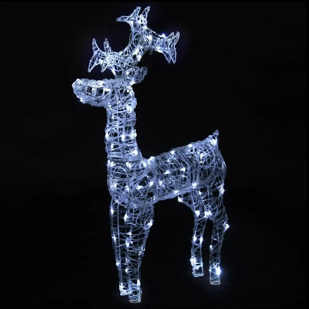 Standing Reindeer Christmas Decorations LED Light 2 Piece Cold White Acrylic Garden Outdoor Display