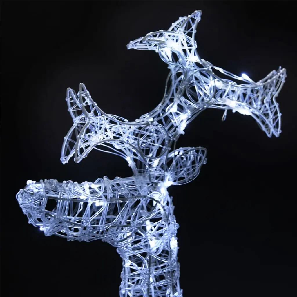Standing Reindeer Christmas Decorations LED Light 2 Piece Cold White Acrylic Garden Outdoor Display