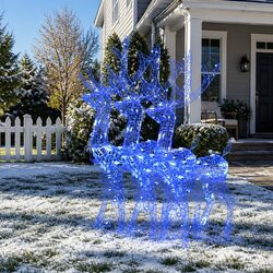 3 Acrylic Reindeer LED Lights - Durable and Beautiful