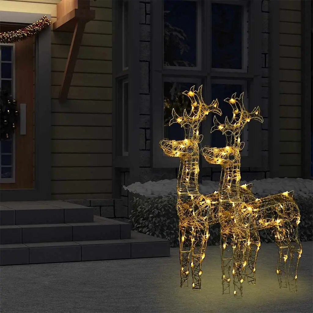 Acrylic Reindeer Christmas Decorations 2 pcs Outdoor Garden Warm White LED