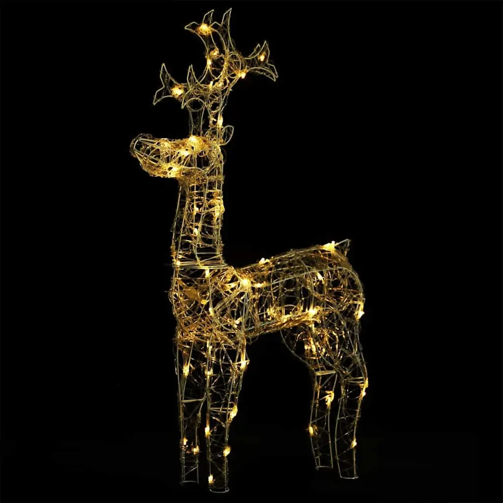 Acrylic Reindeer Christmas Decorations 2 pcs Outdoor Garden Warm White LED
