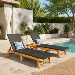 Versatile 3 Piece Garden Lounge Set in Black