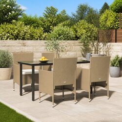 Comfortable and Practical 5 Piece Garden Dining Set