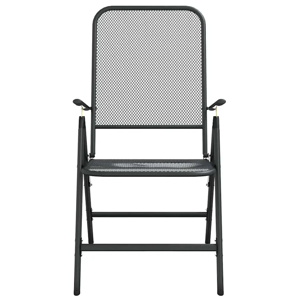 Folding Garden Chairs, 2 Pcs