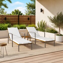 Comfortable Brown Sun Loungers Set for Outdoor Use