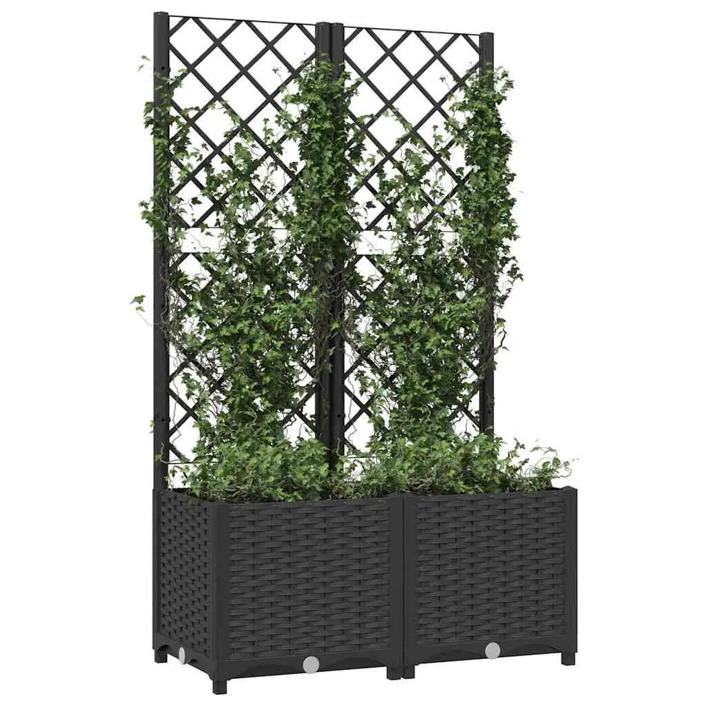 Garden Planter Trellis Climbing Plants Support 80x40x136cm Black