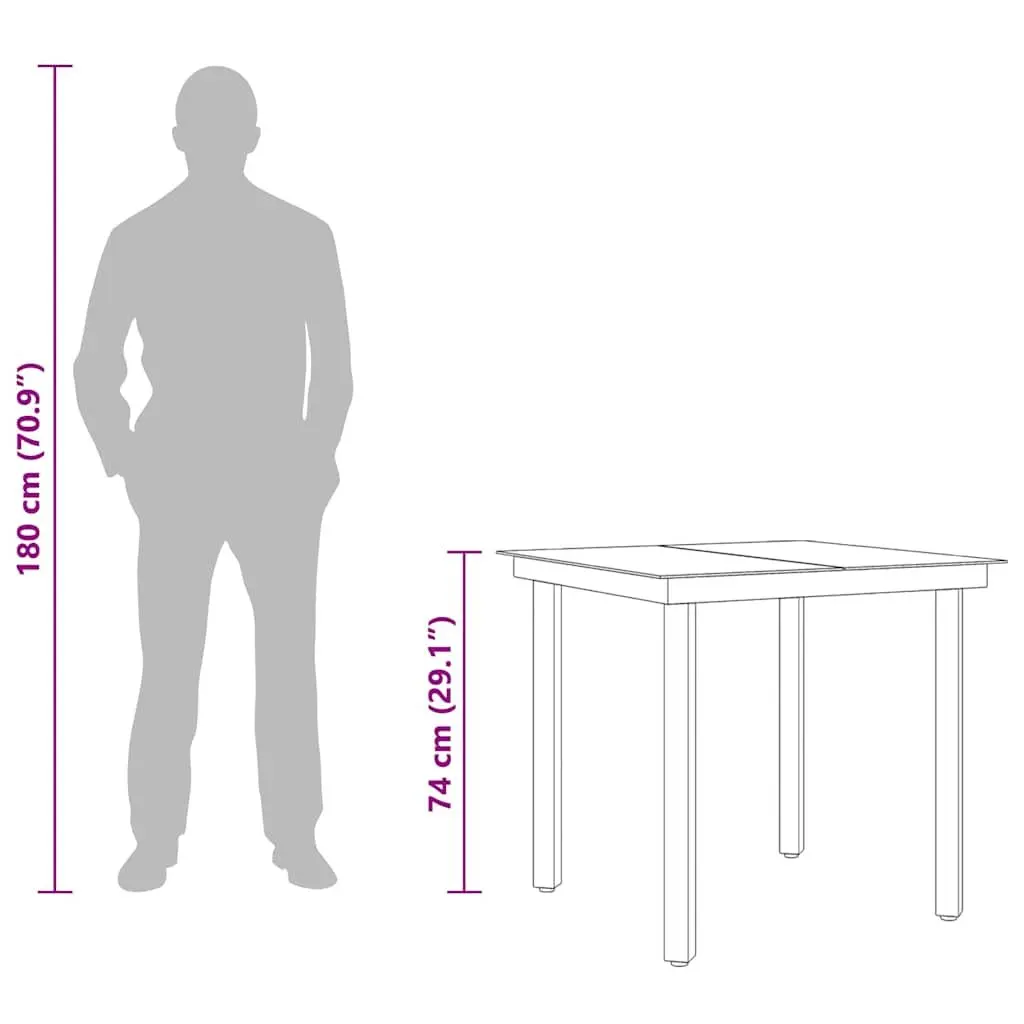 Garden Dining Table Outdoor Use 80x80x74 cm Black Steel Frame Glass Top