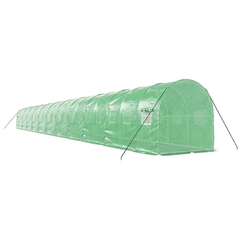 Greenhouse PE Cover Garden Plant House 22x2x2m Green Steel Frame 44m²