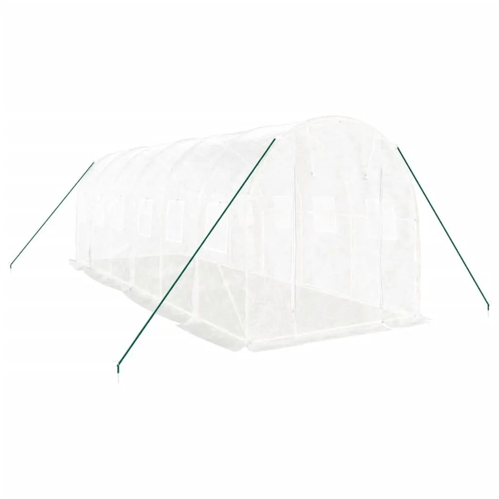 Greenhouse 12 m² Steel Frame PE Cover 6x2x2 m White Garden Plant House