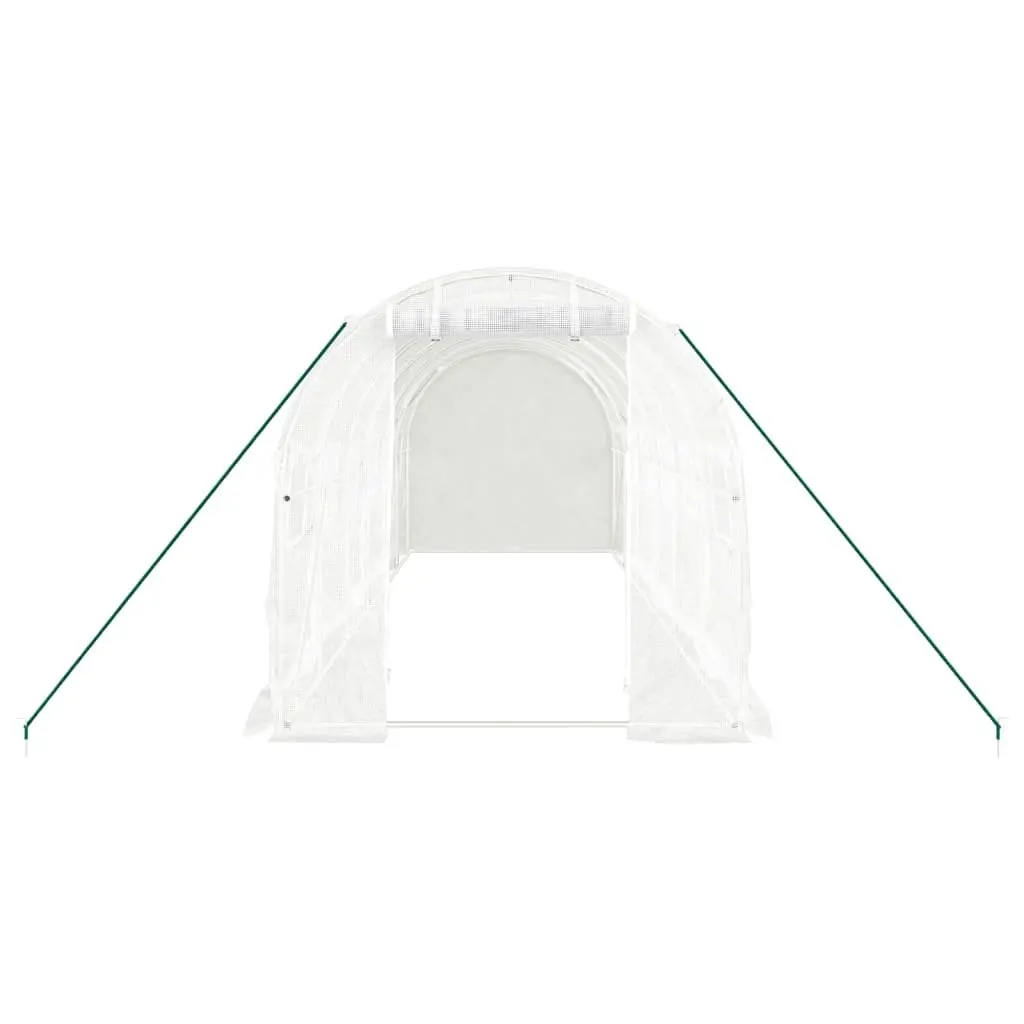 Greenhouse 12 m² Steel Frame PE Cover 6x2x2 m White Garden Plant House