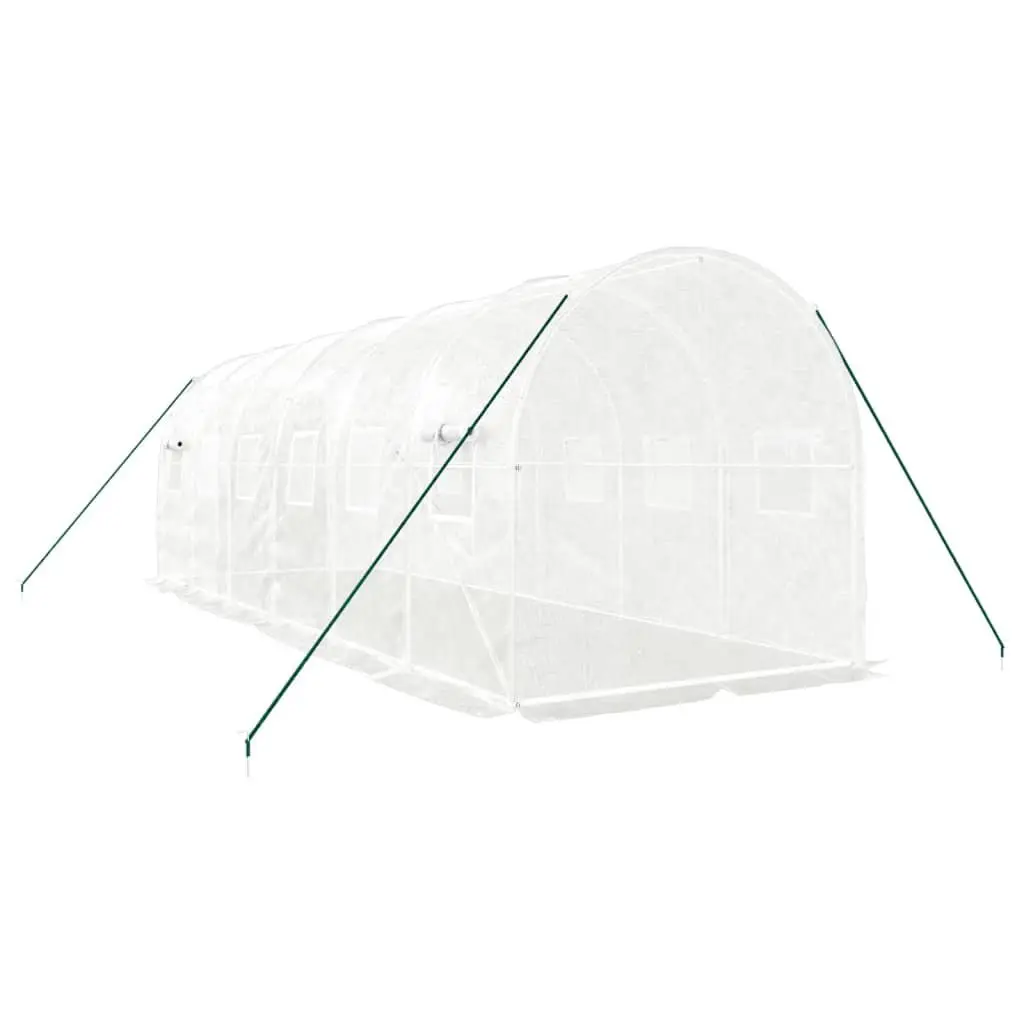 Greenhouse 12 m² Steel Frame PE Cover 6x2x2 m White Garden Plant House