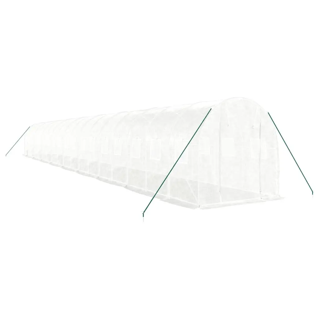 White Garden Greenhouse 36 m² with Steel Frame 18x2x2 m for Plants and Vegetables