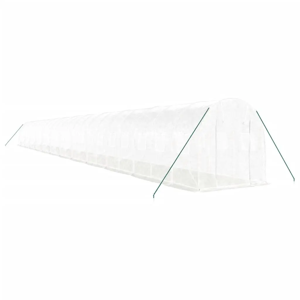 Greenhouse 48m² Steel Frame Garden Plant House 24x2x2m White Roll-Up Door