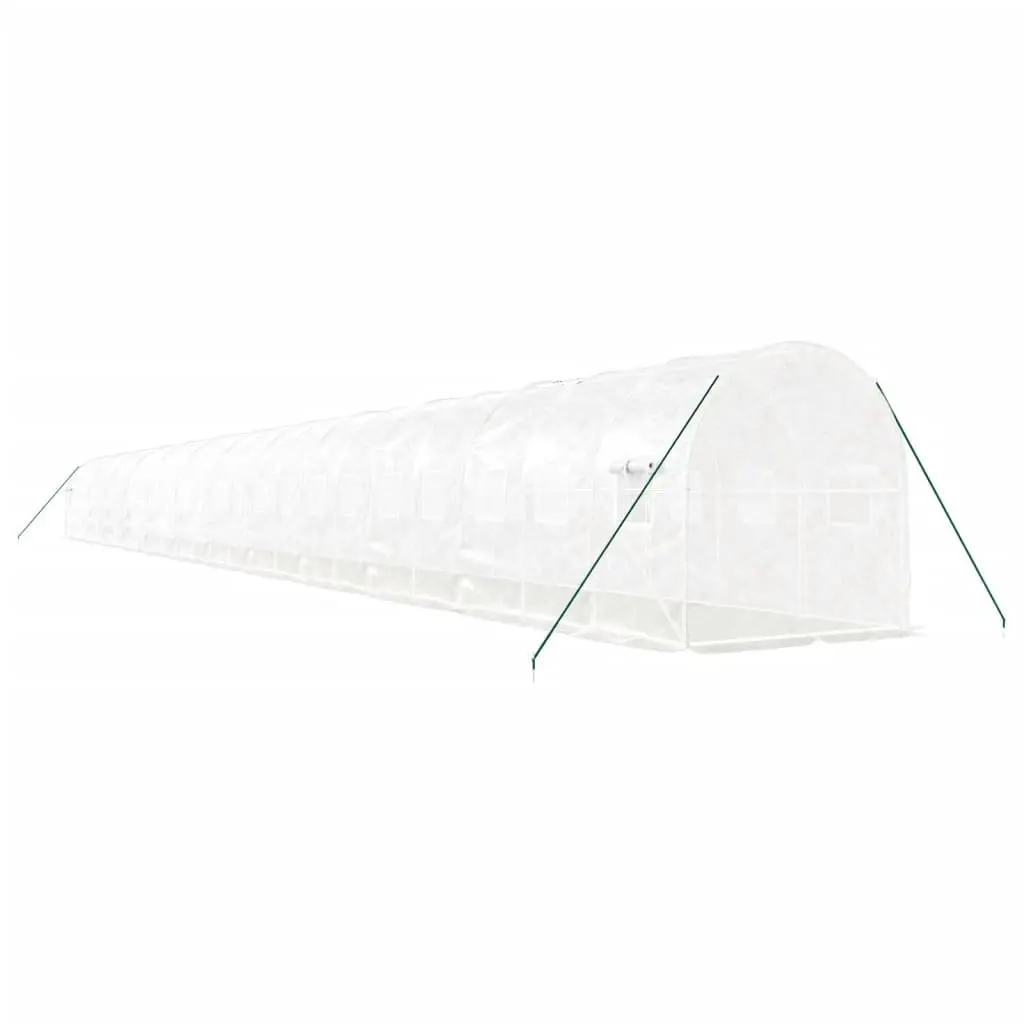 Greenhouse 48m² Steel Frame Garden Plant House 24x2x2m White Roll-Up Door