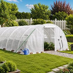 Reliable 6x4x2m Greenhouse with Steel Frame and PE Cover