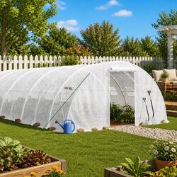 Reliable 10x4x2m Greenhouse with Steel Frame