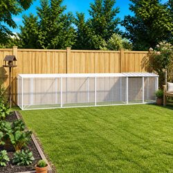 Reliable and Safe Chicken Cage for Your Hens