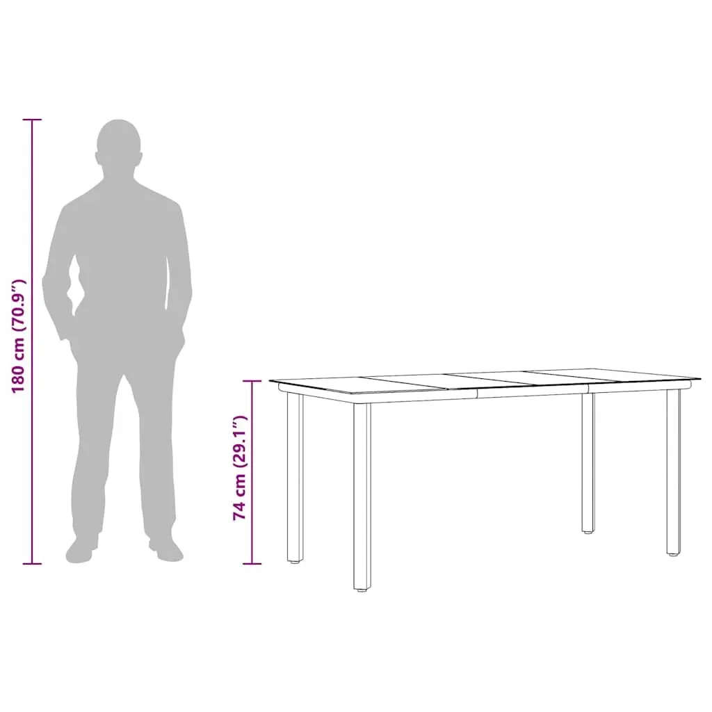 Garden Dining Table Outdoor Use 160x80x74cm Black Steel Frame Tempered Glass
