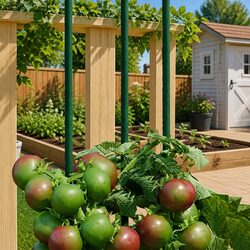 Reliable Green Plant Stakes 30 Pack, 180 cm in Height