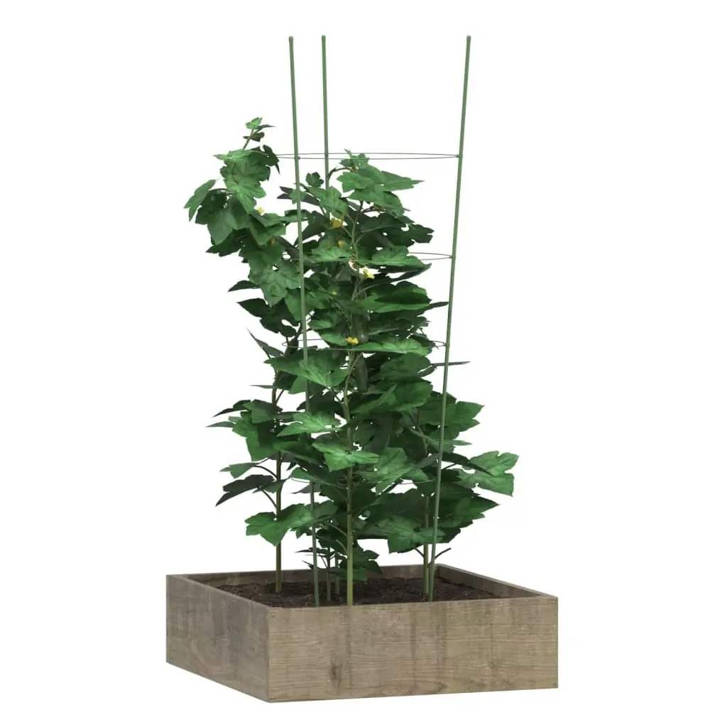 Plant Support Cage 90cm Steel Garden Climbing Tomato Green 5 Piece