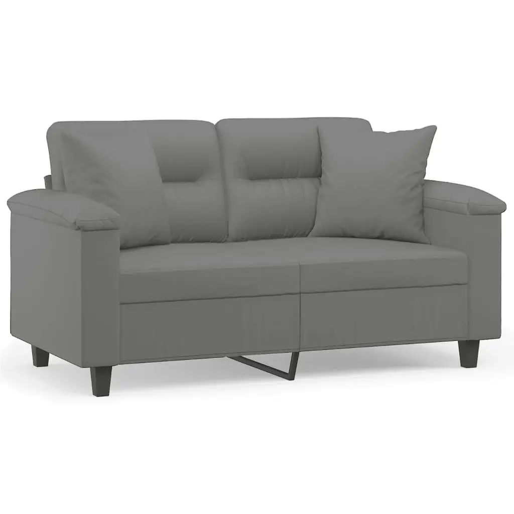 Grey 2-Seater Sofa with Comfy Pillows