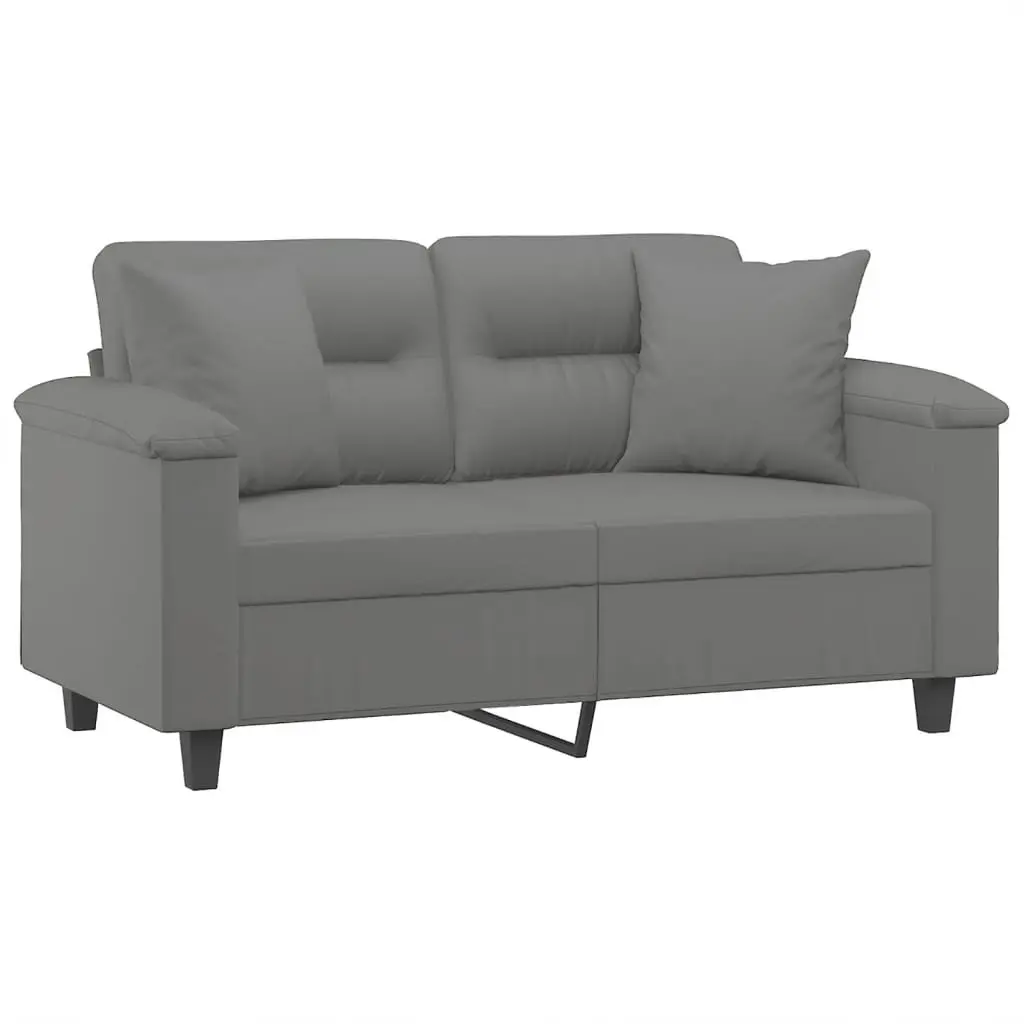 Grey 2-Seater Sofa with Comfy Pillows