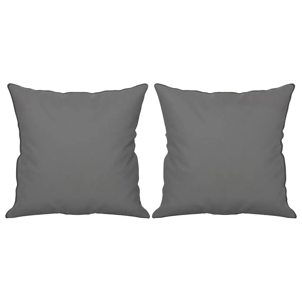 Grey 2-Seater Sofa with Comfy Pillows