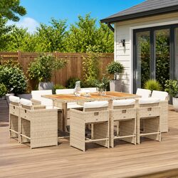 Comfort and Value in an 11 Piece Garden Dining Set