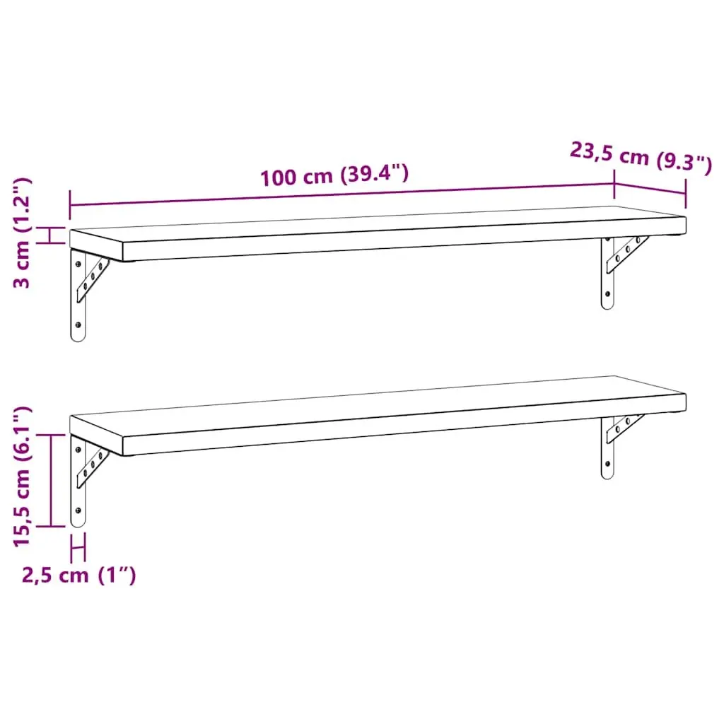 Wall Shelves Floating Storage Display Rack 100x23.5 cm Silver 2 Piece